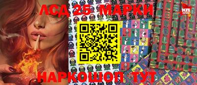 spice Кулебаки